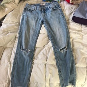 Free people jeans